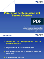 Principios de Regulación Del Sector Eléctrico