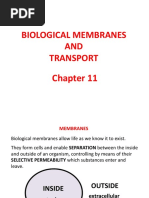 11 - Membranes