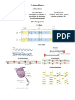 Protfibrosas PDF