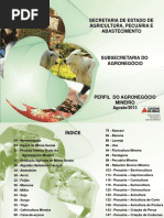 Perfil Do Agronegócio Mg