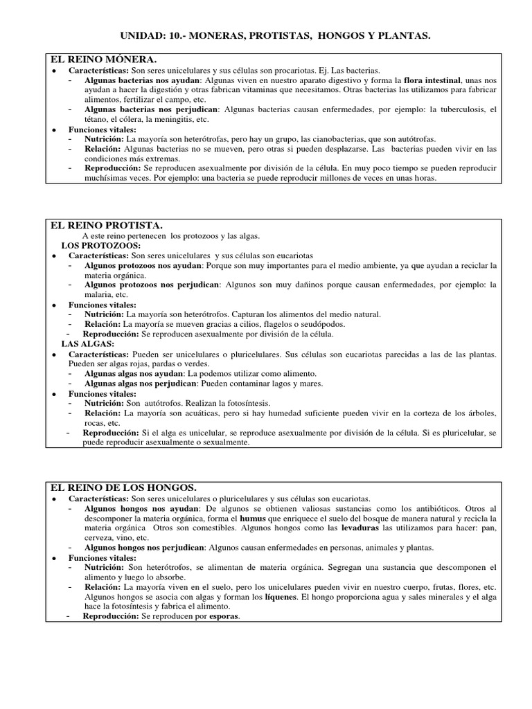 Unit 10. - Moneras, Protoctistas, Hongos y Plantas (Worksheet) | PDF |  Flores | Protozoos