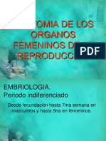 3. Anatomía y Fisiología de Vagina y Vulva Dr. Enríquez