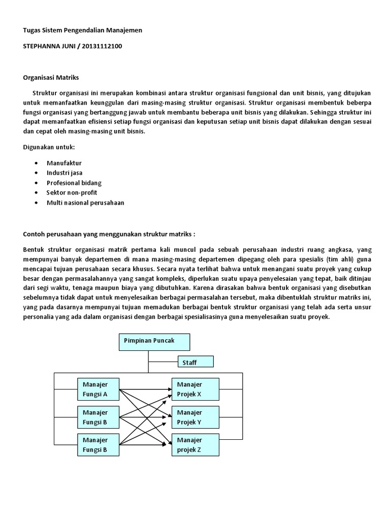 Contoh Struktur Organisasi Matriks Dalam Perusahaan ...
