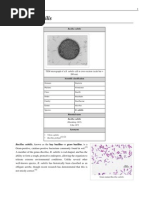 Download Bacillus Subtilis by smoubarak SN39207140 doc pdf