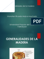 366233461-Maderas.pdf