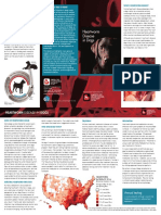 Heartworm Disease.pdf