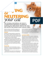 Spaying and Neutering Cat