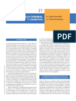 Desarrollo Cognitivo y Cerebral PDF