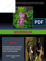 Mezereum_Homeopatía SuperEduards
