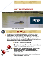 Rol Del Agua en La Nutricion Animal