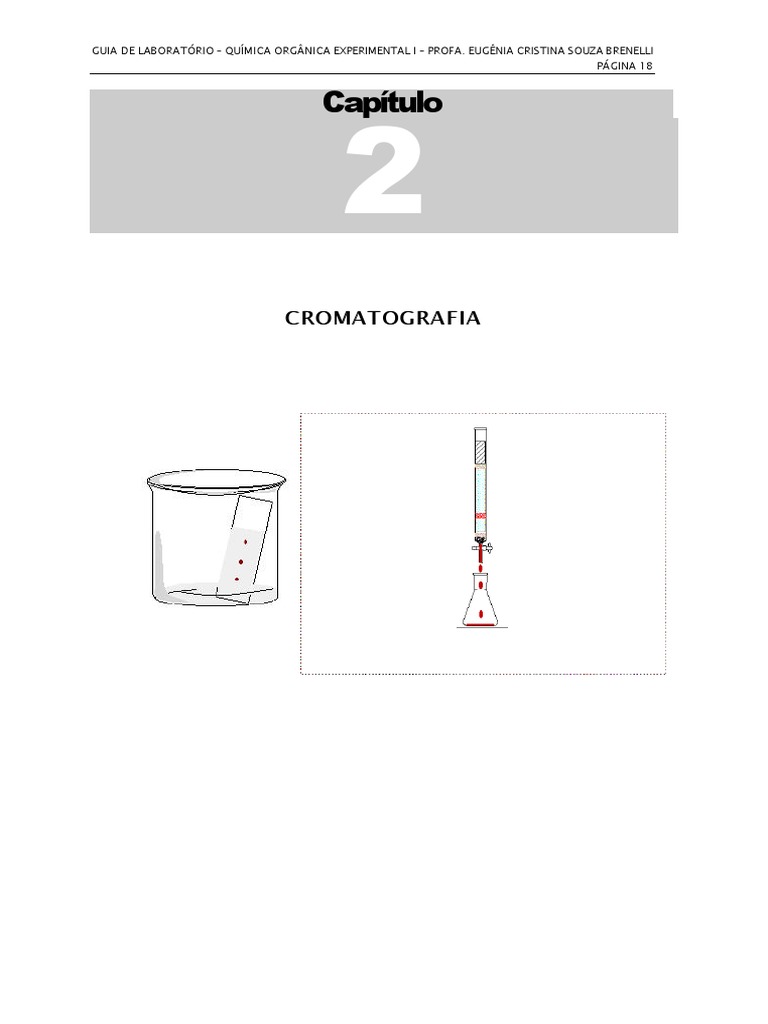 Análise de Algi Danilon por Cromatografia | PDF | Cromatografia | Clorofila