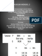 Hukum Mendel 2