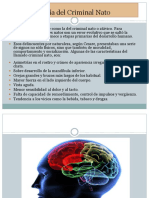 Teoría Del Criminal Nato