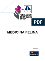 Medicina Felina - Proceeding