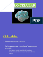 1 ciclo-celular.ppt
