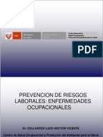 Prevencion de Riesgos Laborales Enfermedades Ocupacionales 