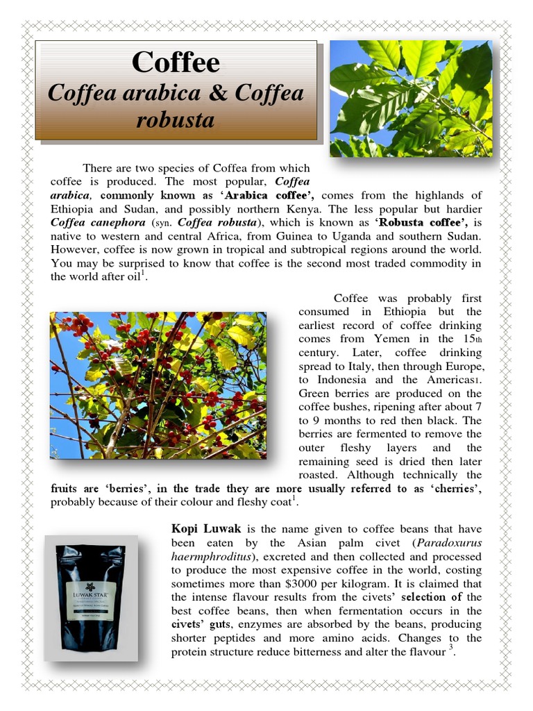 Plant of The Week Coffee2 PDF Coffee Domesticated Plants