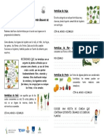 Ficha Hortalizas Por Organo de Consumo para Imprimir PDF