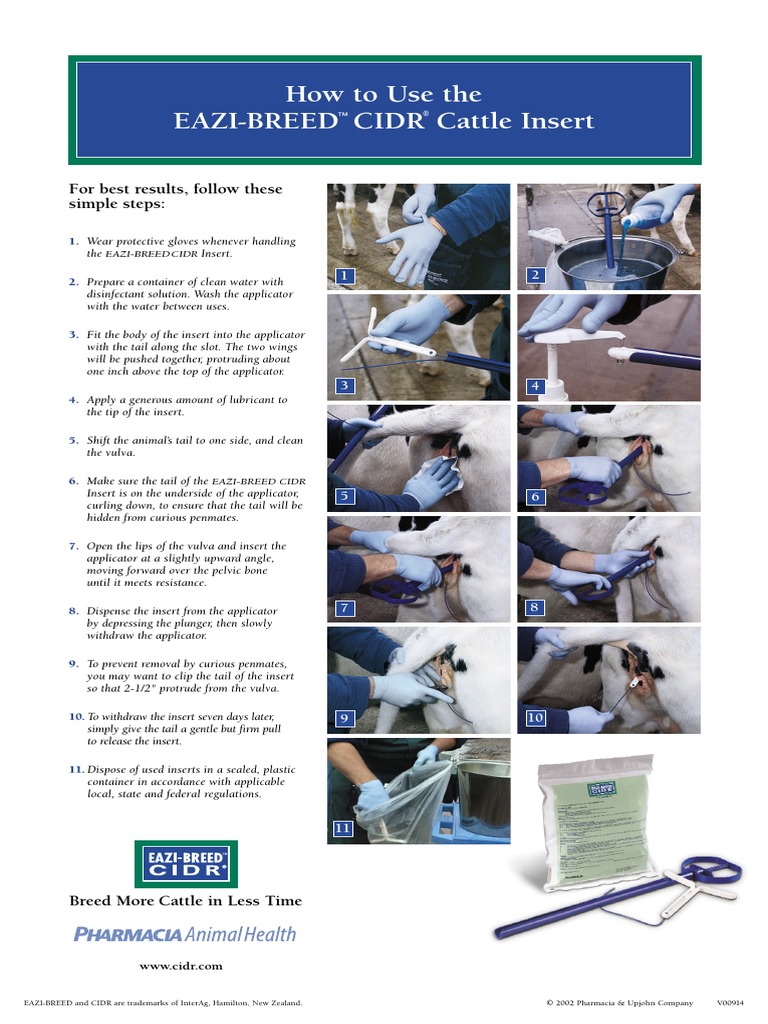 How To Use The EaziBreed Cidr Cattle Insert For Best Results, Follow