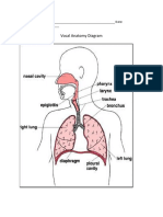 Vocal Anatomy Diagram: Name: - Date