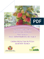 Manual Tecnico Cultivo de La Mora en El Huila
