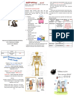 Leaflet Osteoartritis