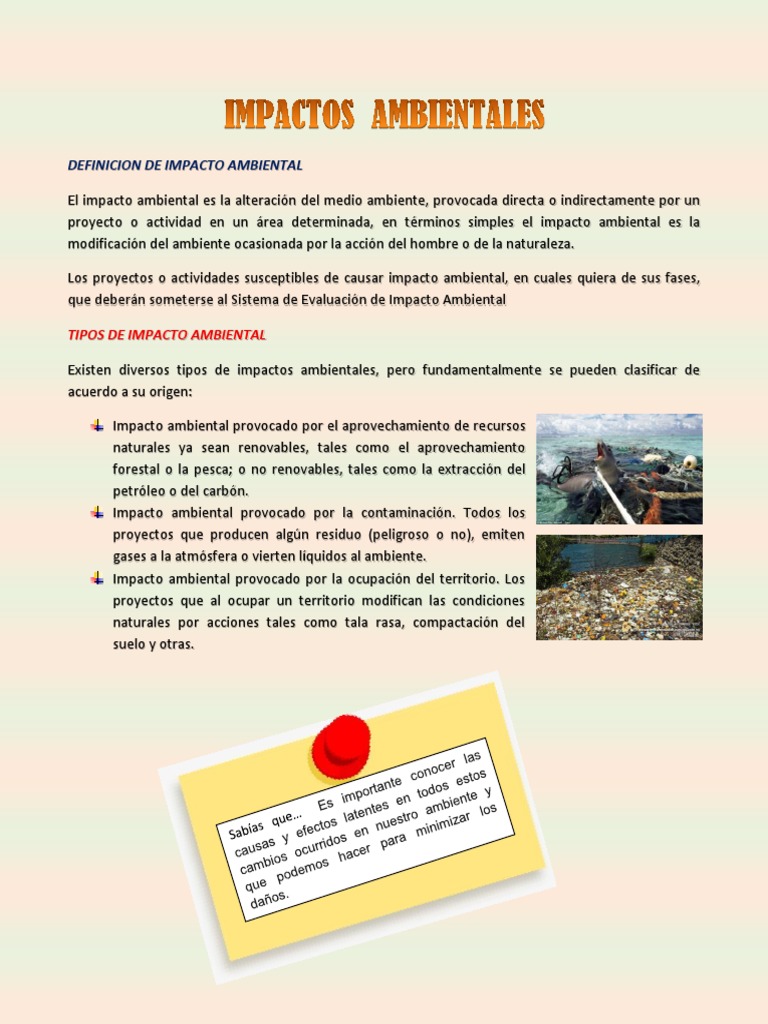 Definición y Tipos de Impacto Ambiental | PDF | Deforestación | Entorno ...