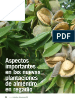 Aspectos importantes en las nuevas plantaciones de almendro en regadio..pdf