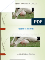 Que Es Mastitis