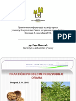 03 Rade Miletic_Prakticni problemi proizvodnje oraha.pdf
