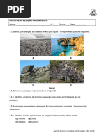 Ficha Diagnostico CT7