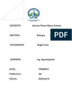 Niveles de organizacion de la materia (aprender haciendo).docx