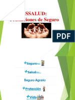 Tema ESSALUD Seguros