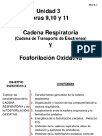 Cadena Respiratoria Fosforilacion Oxidat