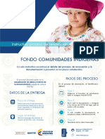 4_INST_PROCESO_RENOVACION_INDIGENAS.pdf