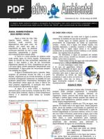 A Importância da Água