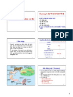 Chuong 1 Su to chuc co the 2 (1).pdf