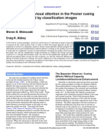 The Footprints of Visual Attention in The Posner Cueing Paradigm Revealed by Classification Images