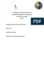 Actividad de Aplicación (Elcancer)