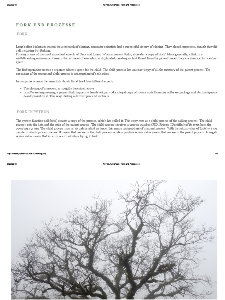 Python Advanced Fork and Processes PDF Process