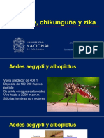 Dengue, Chikungunya y Zika-2
