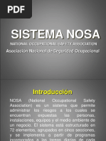 Sistema NOSA 1