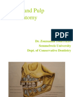 anatomy.pdf
