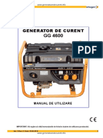 Manual Generator Curent Stager GG 4600 PDF