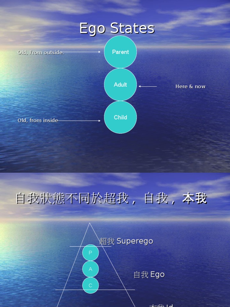 Ta 101 Pdf Neuroscience Clinical Psychology