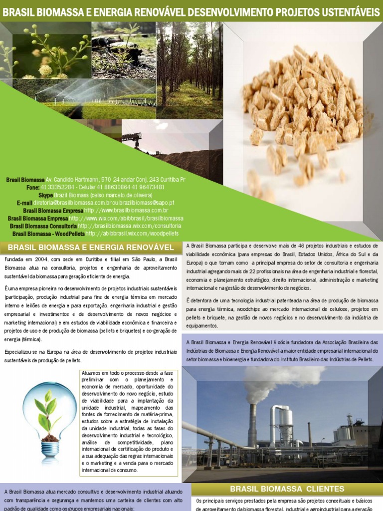 Biomassa Brasil e Energia Renovável Desenvolvimento Projetos ...