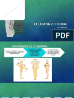 Presentación1.pptx