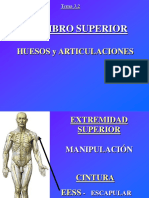 4.1-Miembro-Superior-Huesos-y-Articulaciones.pptx