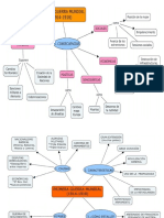 Mapa Conceptual de La 1era Guerra Mundial