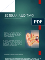 Sistema auditivo: propiedades ondas sonoras y audición